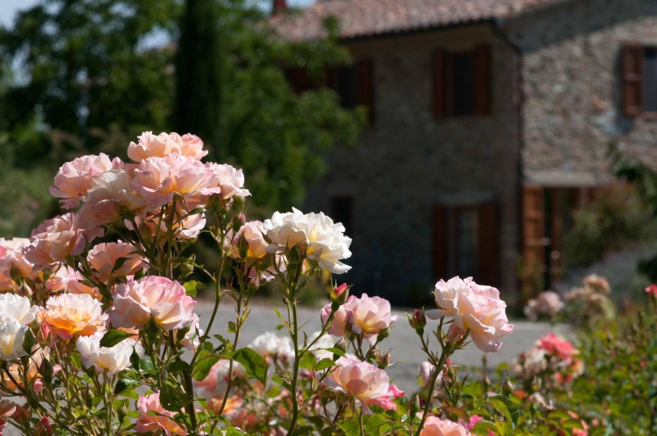 Agriturismo Le Valli Casciana Terme Exteriör bild
